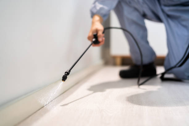 Licensed Termite Control service in Richmond County County, NC - Nex Pest Control