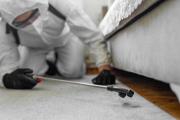 Professional Termite Control technician working in Richmond County County, NC